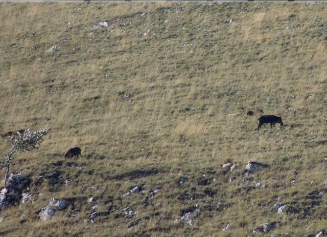 Uno dei panorami del Parco Naturale